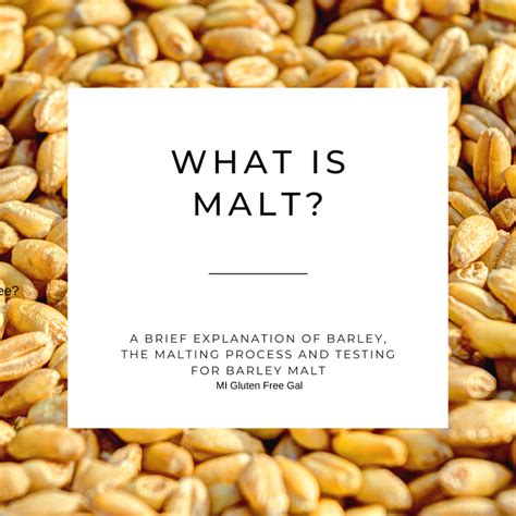 malt drink meaning